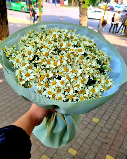 Bouquet of Chamomiles flowers delivered to Almaty