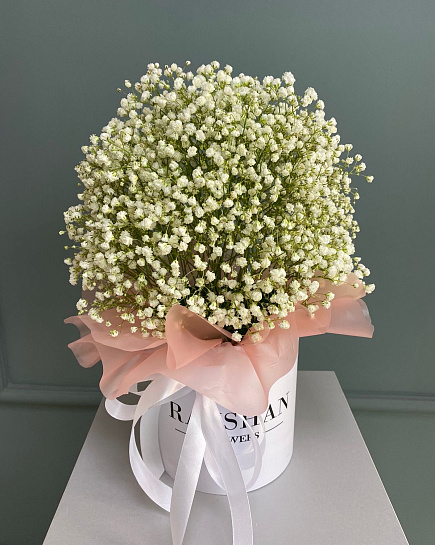 Bouquet of Box of S gypsophila flowers delivered to Astana