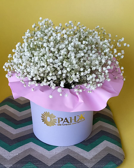 Bouquet of Gypsophila in a hatbox flowers delivered to Almaty
