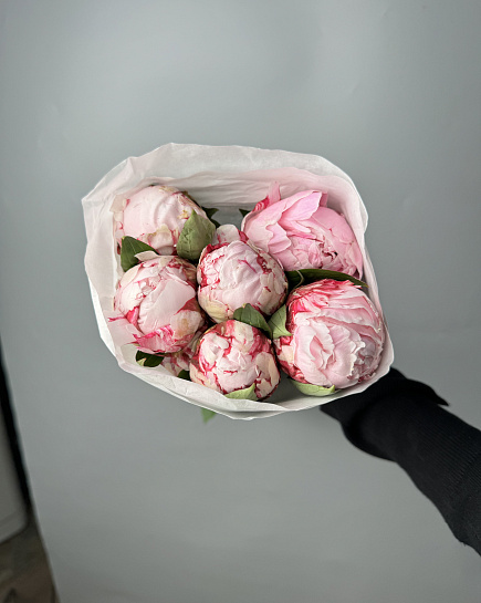Bouquet of Pink peonies in packs (10 pcs) Sarah Bernhardt flowers delivered to Astana