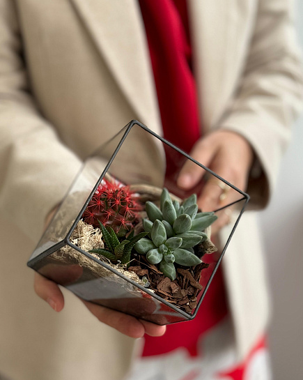 Bouquet of Florarium with cacti flowers delivered to Astana