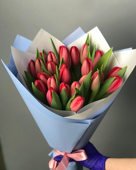 Bouquet of Tulips 25 pcs flowers delivered to Semey