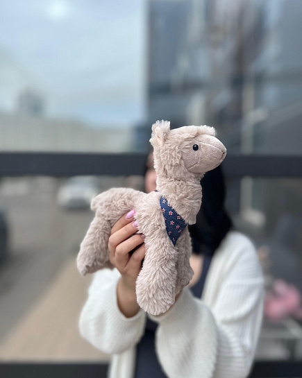 Bouquet of Llama 25cm flowers delivered to Astana