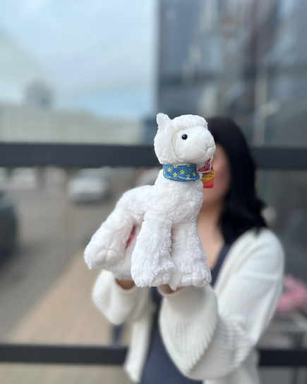Bouquet of Llama 25cm flowers delivered to Astana