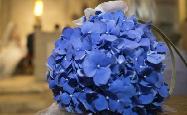 Что означают синие цветы