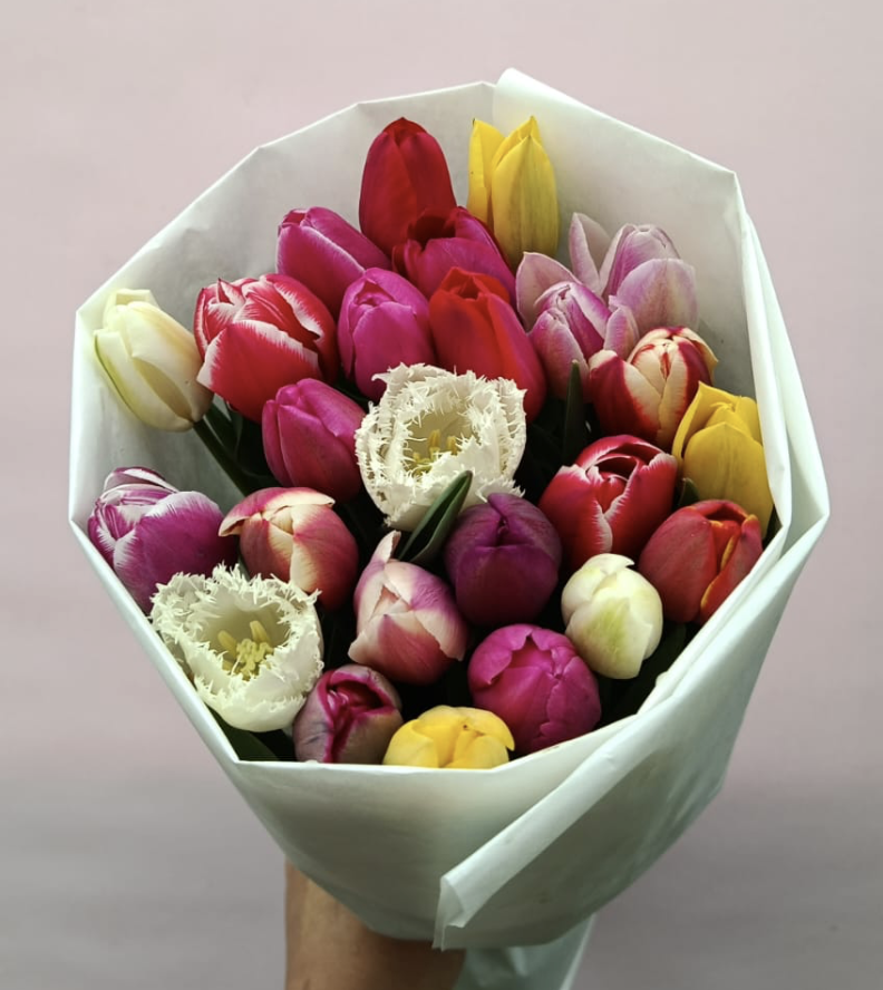 Тюльпаны микс 25 шт с луковицами
