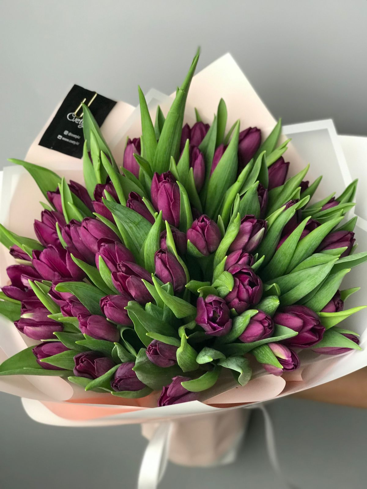 Bouquet of Purple Tulips 51 pcs flowers delivered to Semey