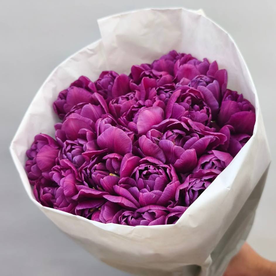Фиолетовые пионовидные тюльпаны с луковицами 25 шт