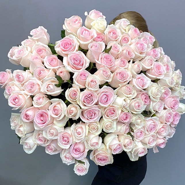 Bouquet of pink roses Novia 101 pcs