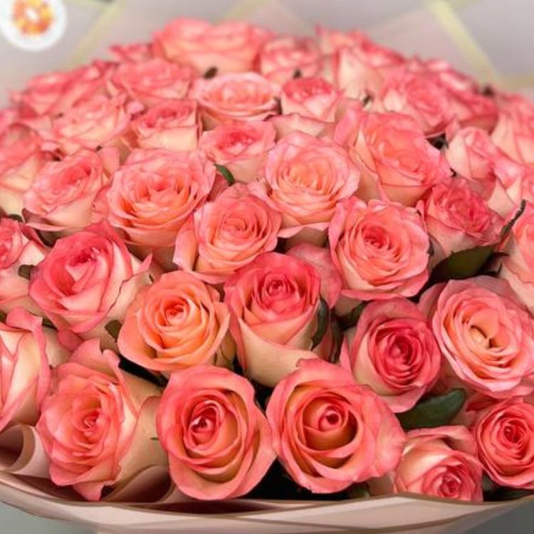 Букет 51 роза Джумилия с доставкой по Алматы