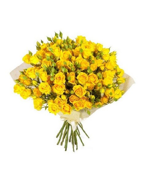 Bouquet of 51 yellow rose bushes