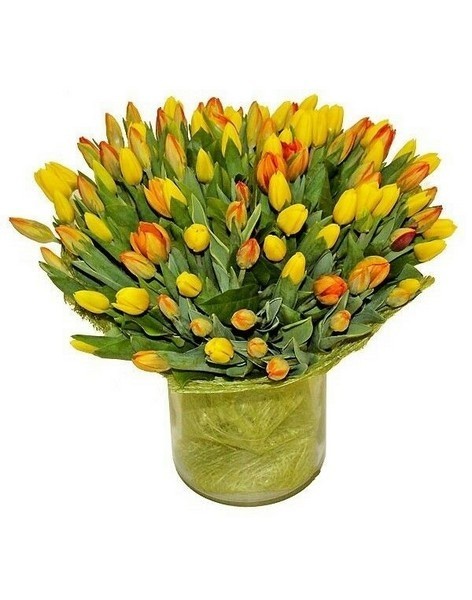 Bouquet 501 yellow tulips