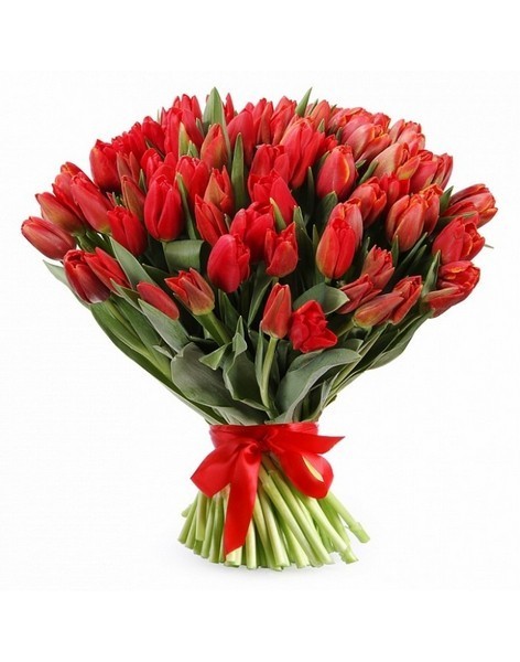 Bouquet 201 red tulips