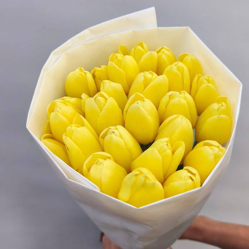 Жёлтые тюльпаны с луковицами 25 шт