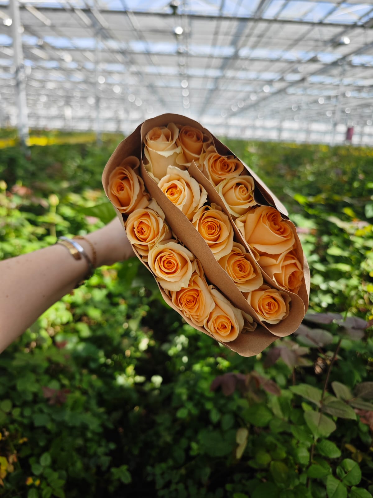 Peach Avalanche 40 см (15 шт) - купить в Астане с доставкой