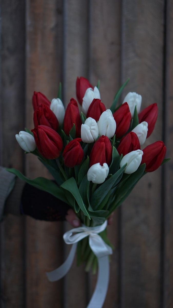 Красно/белые тюльпаны с доставкой по Рудном