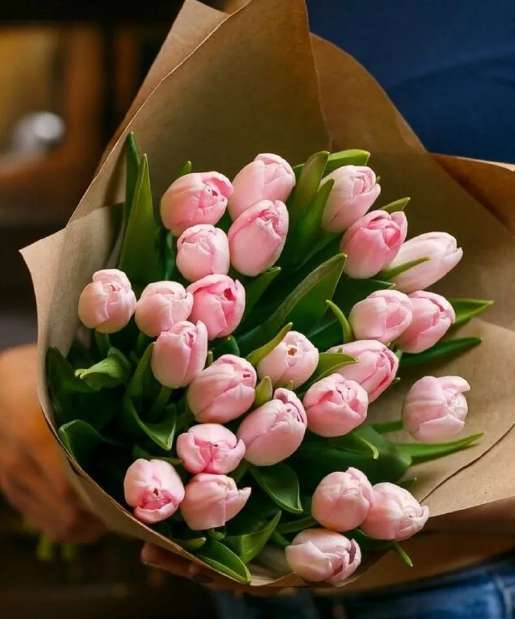 25 pink tulips