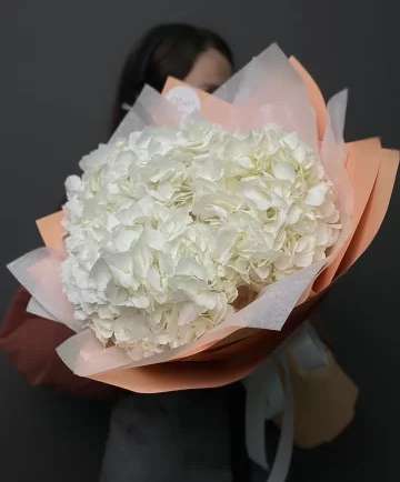 Hydrangeas white with delivery to Almaty