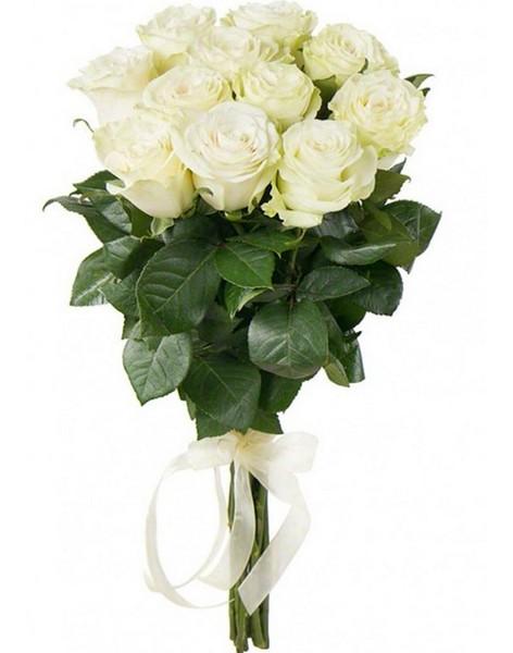 Bouquet of white roses Bright day