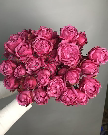 Julietta Cerise пачка 12шт  с доставкой по Астане