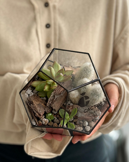 Bouquet of Florarium with succulents and cacti flowers delivered to Astana