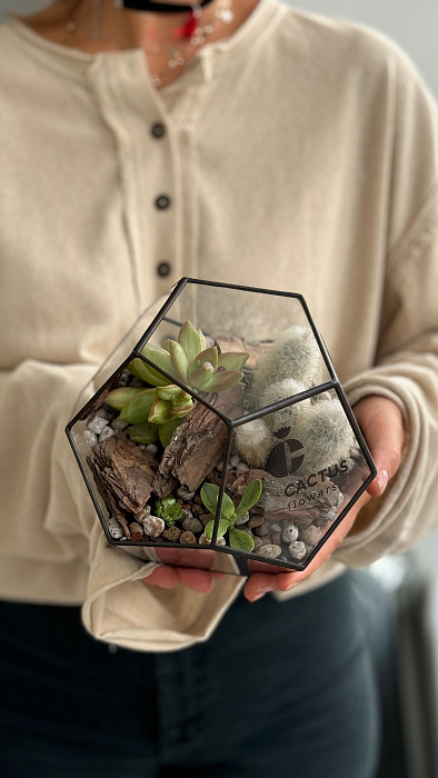 Florarium with succulents and cacti