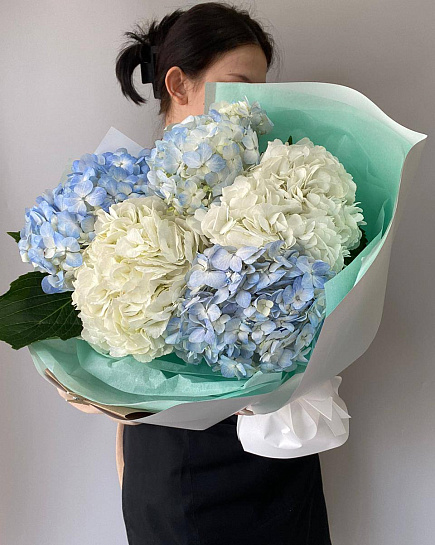 Bouquet of Hydrangea Monobouquet ❤ flowers delivered to Almaty