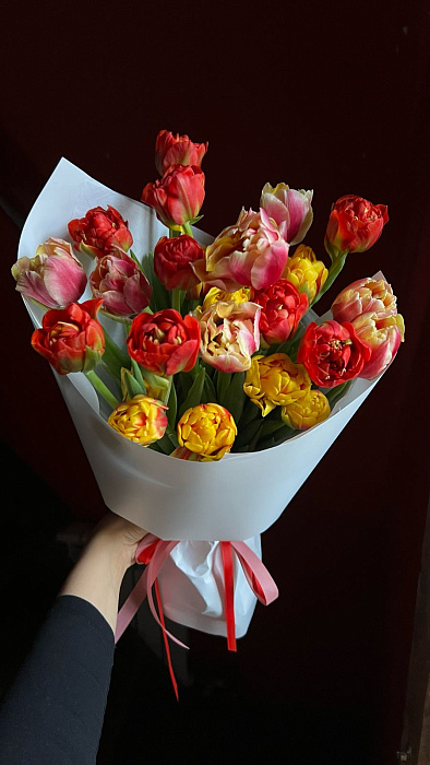 Tulipanomania Tulipanomania
