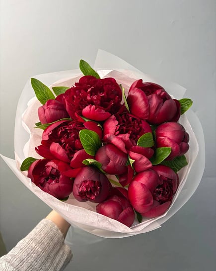 Пионы Red Charm с доставкой по Астане