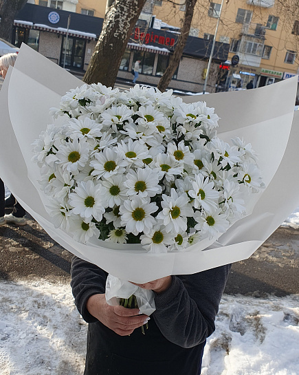 Ромашковидные хризантемы  с доставкой по Алматы
