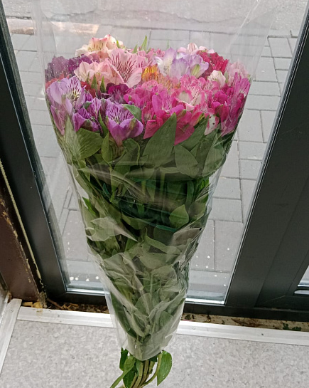 Alstromeria in a pack with delivery to Almaty