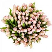 Bouquet 201 pink tulips
