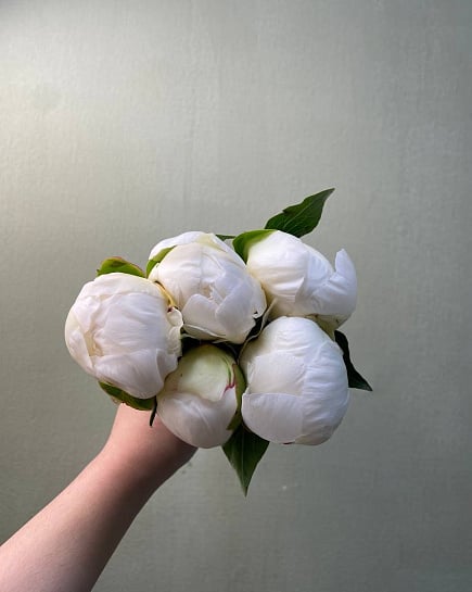Белые пионы (5 шт) с доставкой по Астане