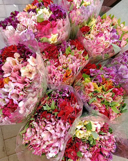 Alstromeria in a pack with delivery to Almaty