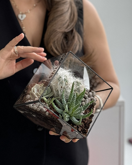 Bouquet of Florarium with cacti and succulents flowers delivered to Astana