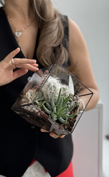 Florarium with cacti and succulents