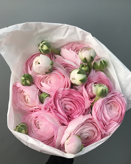 Ranunculus in a pack with delivery to Astana