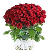 Bouquet of 51 red rose bushes