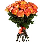 Bouquet of 15 orange roses