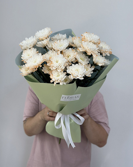 Chrysanthemum with delivery to Astana