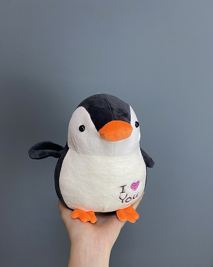 Пингвин с доставкой по Астане