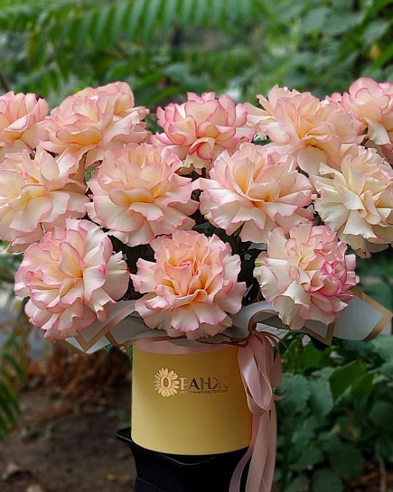 Bouquet of 13 French roses in a box with delivery to Almaty