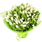 Bouquet 101 white tulips