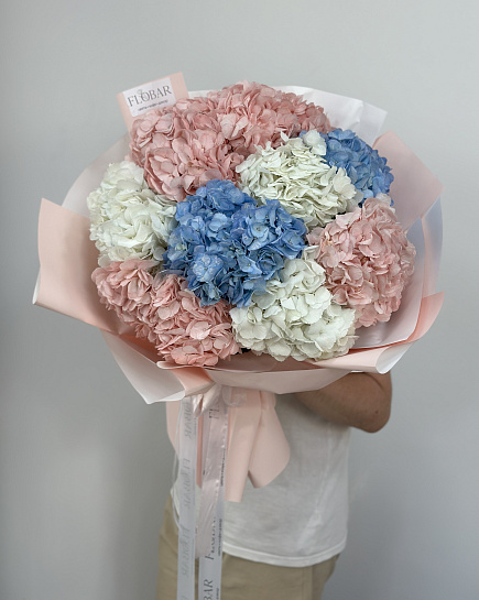 Bouquet of Royal hydrangea (9) flowers delivered to Astana