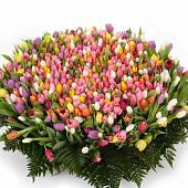 Mix bouquet 501 tulips