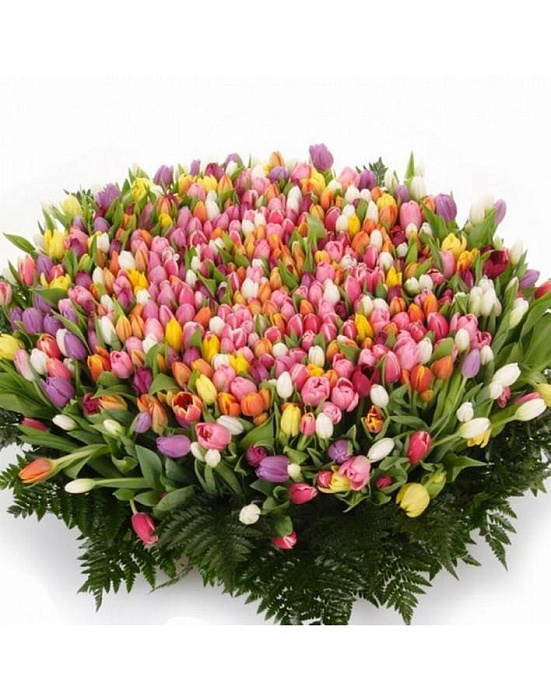Mix bouquet 501 tulips