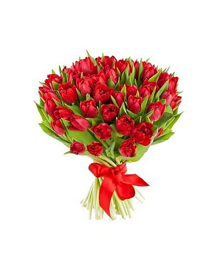 Bouquet of Bouquet of 51 red tulips flowers delivered to Astana