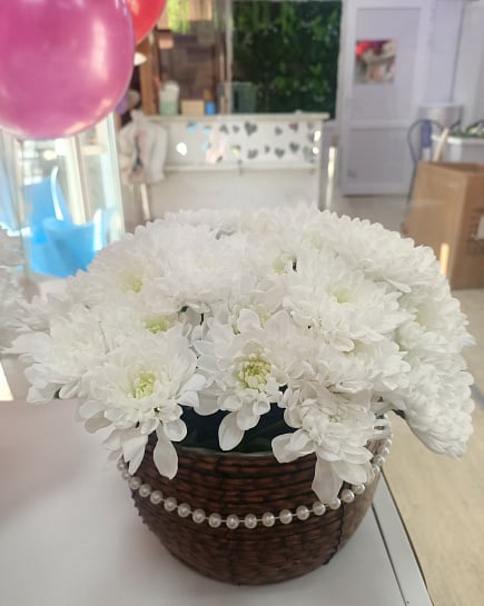 Белоснежные хризантемы в плетеной корзине с доставкой по Астане