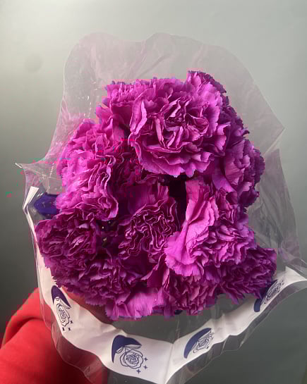 Диантусы в пачке 25 с доставкой по Астане