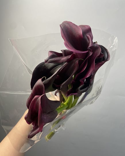 Каллы в пачке (10 шт) с доставкой по Астане